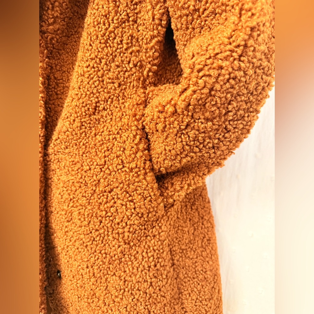 Sam Edelman Rust Teddy Jacket - Picture 4 of 9